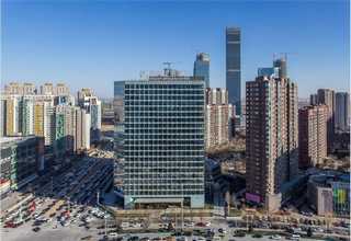 山西野生城镇绿化苗