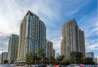 烟台猪血清品牌